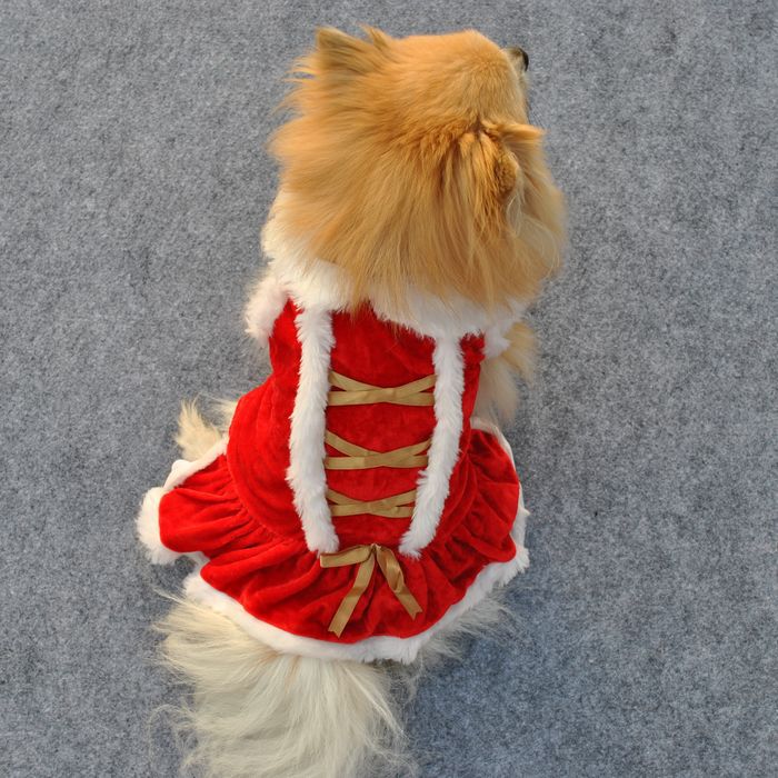 Pet Clothing - New Year And Christmas Classic Red Skirt