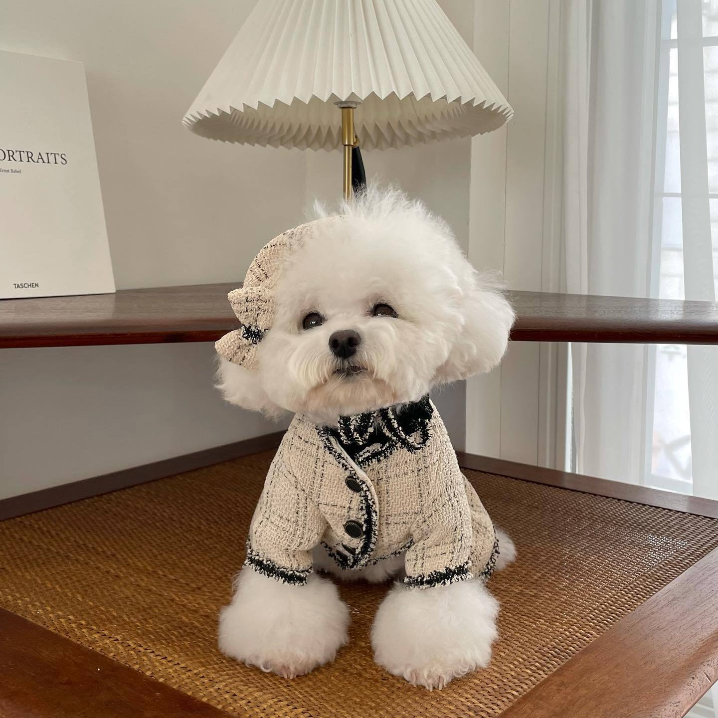 Pet Cat / Dog Clothing Princess Skirt