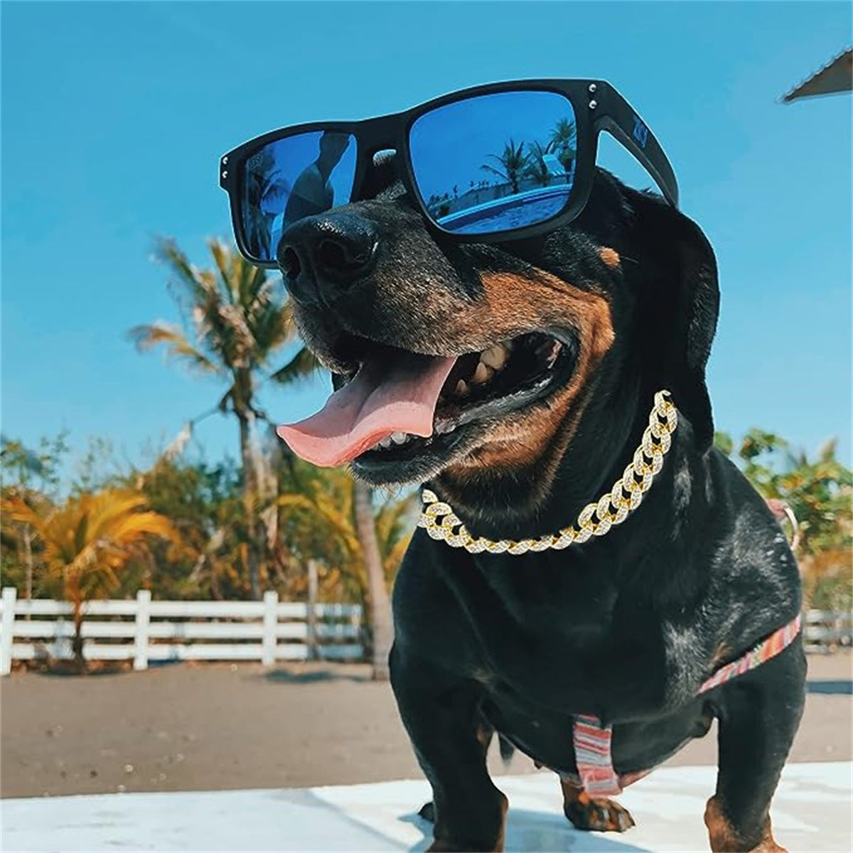 Pet Dog Collar Necklace With Diamonds Cuban Link Chain