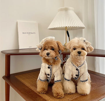 Pet Cat / Dog Clothing Princess Skirt