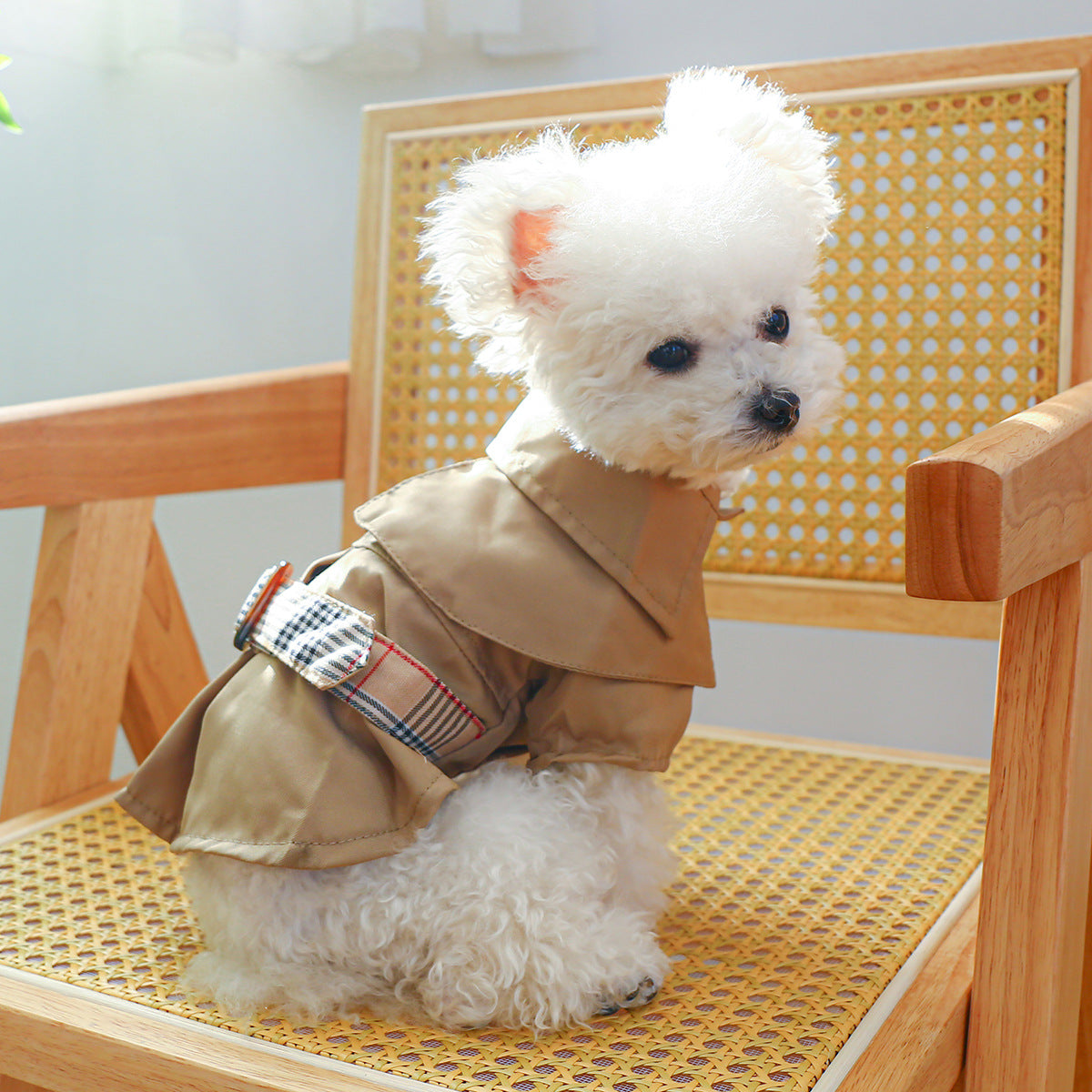 Pet Clothes - Khaki Trench Coat - couple outfit